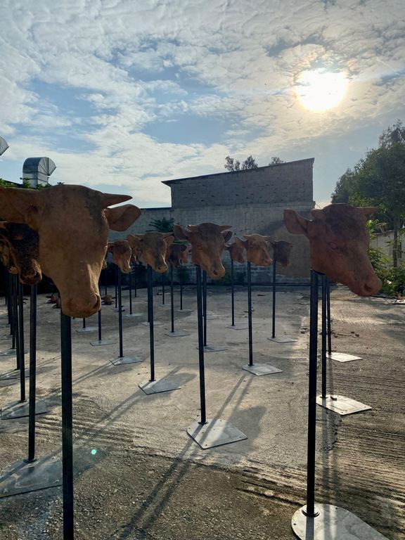 Outdoor installation, Elaionas, 2023